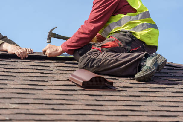 Best Roof Gutter Cleaning  in Custer, SD
