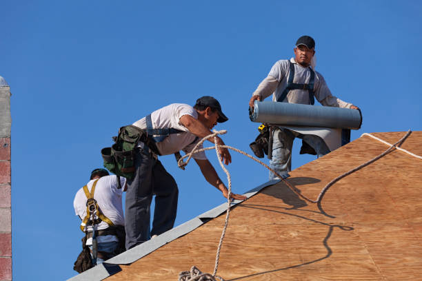 Best Emergency Roof Repair  in Custer, SD