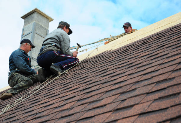Best Shingle Roofing Installation  in Custer, SD